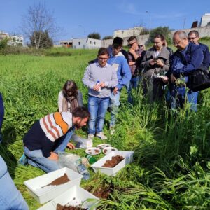 Citizen Science in Locorotondo